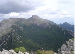 Massanella