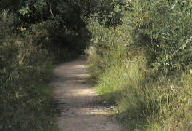 Camí des Rost