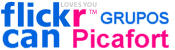 Flickr grupos