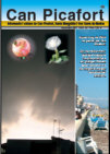Revista Can Picafort 39