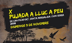 Lluc a peu 2008