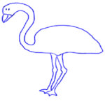 Pajaro